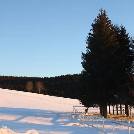公寓 Black Forest