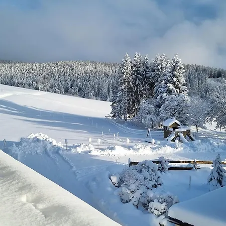 Black Forest